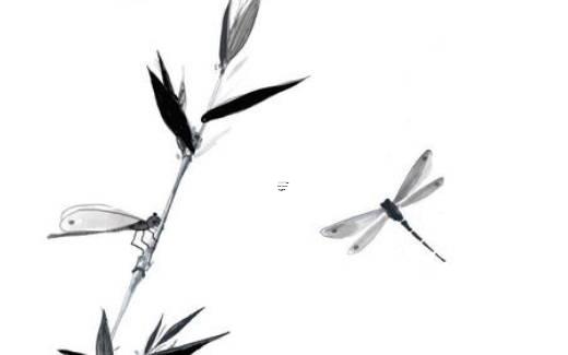 南平市八字橋水電站 八字橋濕地公園門票