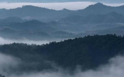 屬蛇哪個(gè)屬相婚配最好,屬蛇最佳配偶屬什么好 屬蛇哪個(gè)屬相婚配最好,屬蛇最佳配偶屬什么好