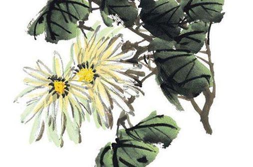 2024幾月份出生的龍命運最好 2024幾月份出生的龍命運最好女孩