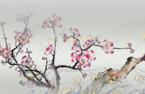 有些人合八字合婚喜歡來合喜用神 合婚喜用神相克 有些人合八字合婚喜歡來合喜用神 合婚喜用神相克