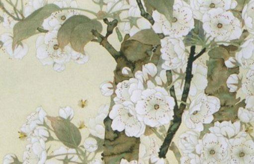 屬豬女和屬兔女合財么,屬豬女和屬兔男配嗎? 屬豬女和屬兔女合財么,屬豬女和屬兔男配嗎?