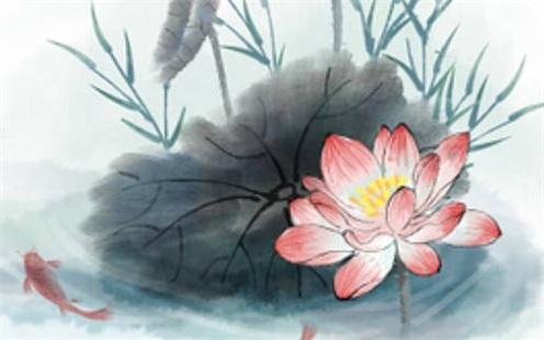 屬豬和屬蛇婚配怎樣 屬蛇屬豬婚配怎么樣 屬豬和屬蛇婚配怎樣 屬蛇屬豬婚配怎么樣