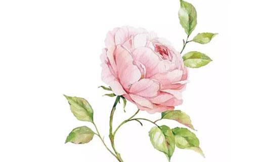 女雞寶寶好聽的名字 女雞寶寶好聽的名字