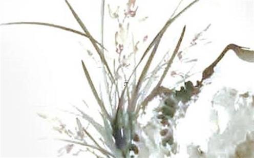 金牛座和摩羯座般配嗎 金牛座和摩羯座在一起合適嗎 金牛座和摩羯座般配嗎 金牛座和摩羯座在一起合適嗎