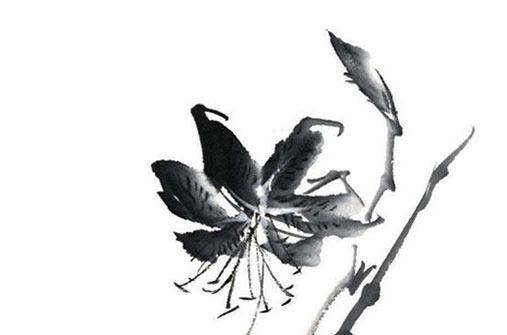 虎寶寶叫什么名字好 虎寶寶叫什么名字好男孩 虎寶寶叫什么名字好 虎寶寶叫什么名字好男孩