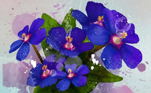 屬猴92年男最配屬相 92年的男猴和什么屬相最配