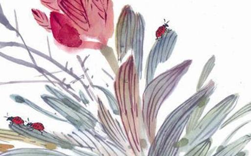 2004年屬猴今年怎樣,2004年屬猴人一生命運如何 2004年屬猴今年怎樣,2004年屬猴人一生命運如何