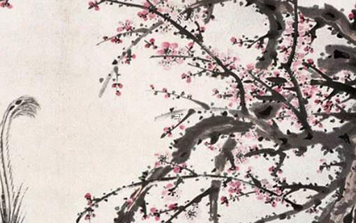 哪兩個生肖不能做夫妻雞 生肖不能做夫妻的生肖 哪兩個生肖不能做夫妻雞 生肖不能做夫妻的生肖