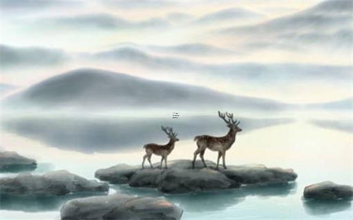 哪里可以買到便宜的黃緣龜 哪里能買黃緣龜