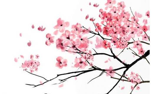 好聽的私人小花園名字