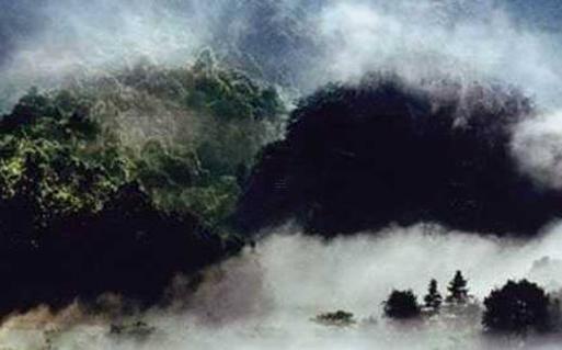 屬兔女性的婚配，屬兔的女婚配應該是哪幾種屬相最好