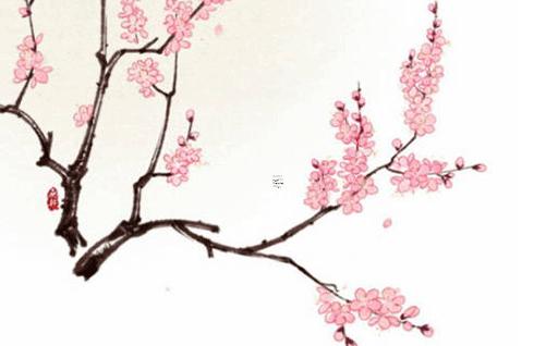 2024是什么生肖年 2024年屬鼠人的全年運勢1984出生