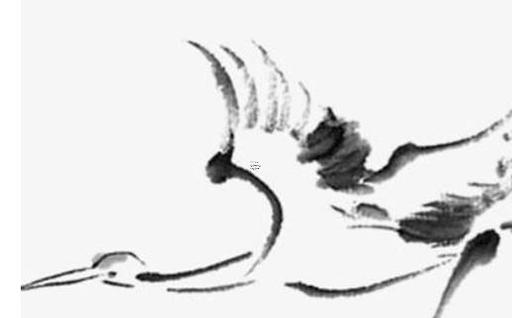 屬馬的人出生年份分別有什么 屬馬的出生年份有哪些 屬馬的人出生年份分別有什么 屬馬的出生年份有哪些