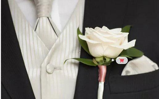 最單純的星座 最單純的星座