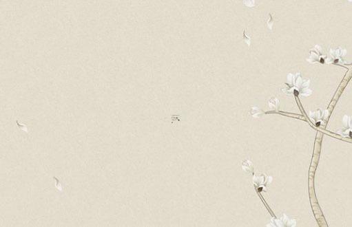 2024年76年屬龍女運勢 76年龍2024年怎么樣 2024年76年屬龍女運勢 76年龍2024年怎么樣