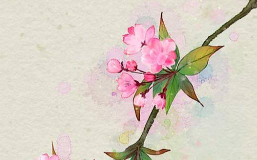 新生女嬰起什么名字最好 2022年女寶寶取名宜用部首