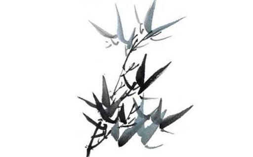 屬虎女人一生的命好嗎 屬虎女一生的命運