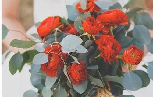 十二星座跳舞 十二星座跳舞