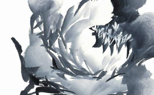 眼部護理好聽的名字 眼部護理好聽的名字