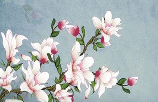 屬鼠2024運程 屬鼠2024年運勢如何 屬鼠2024運程 屬鼠2024年運勢如何