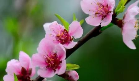 夢見手表進水了 夢見手表進水了
