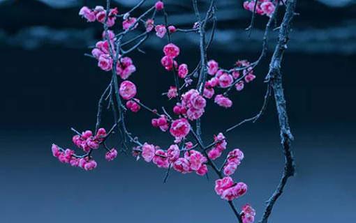 能在部隊提于的八字四柱 什么樣的八字適合從軍 能在部隊提于的八字四柱 什么樣的八字適合從軍