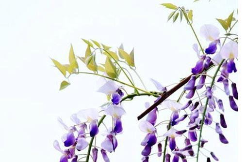 塔羅下一段戀情何時來 塔羅牌測試下一段戀情何時來 塔羅下一段戀情何時來 塔羅牌測試下一段戀情何時來