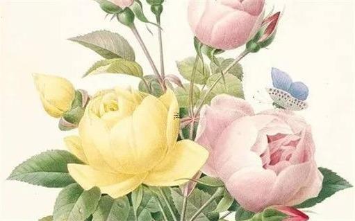 寶寶起名網(wǎng)站哪個(gè)比較正規(guī) 寶寶起名最好的網(wǎng)站排名 寶寶起名網(wǎng)站哪個(gè)比較正規(guī) 寶寶起名最好的網(wǎng)站排名