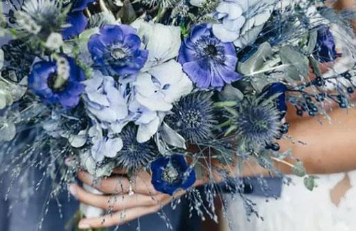 星座的吃貨排行榜 星座的吃貨排行榜