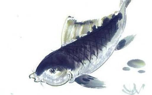 2013屬蛇床頭擺放,屬蛇的床頭吉利方向 2013屬蛇床頭擺放,屬蛇的床頭吉利方向