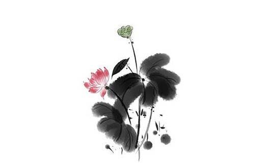 豬寶寶好聽的名字男孩 豬寶寶好聽的名字男孩