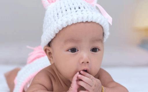 最好聽的柴犬名字日文