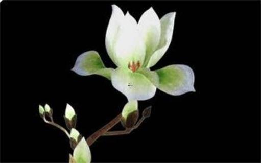 最近雙魚座運(yùn)勢查詢 雙魚座的最近運(yùn)勢 最近雙魚座運(yùn)勢查詢 雙魚座的最近運(yùn)勢