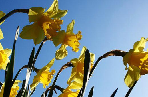 按生辰八字五行取名80年女孩名字帶火字 80后女孩名字常用字