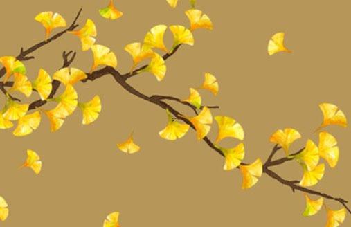 女屬猴最配生肖,女屬猴和什么最配 女屬猴最配生肖,女屬猴和什么最配