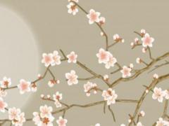 屬蛇配屬猴婚姻好不好,屬蛇人和屬猴人婚配好嗎