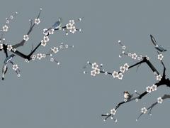 八字算命叫什么意思 算命八字是指哪八字