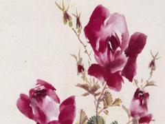 生辰八字缺金缺土怎么辦 命里缺金缺土怎么化解