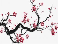 24節氣不能結婚嗎 節氣不適合結婚嗎