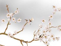 屬鼠的人2024年運勢及運程詳解圖 屬鼠的人2024年的運勢及運程