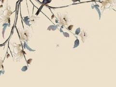 2024年什么生肖運勢最好 2024年哪些屬相運勢最好