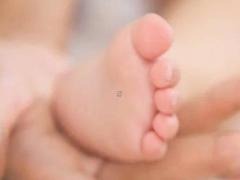 陳姓女孩取名大全2019屬豬 陳姓女孩取名大全免費(fèi)2020年