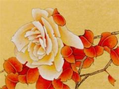 2024年屬龍的命 2024年屬龍的命中缺什么