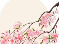 天秤女適合的10大職業 天秤座干什么最厲害