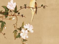 1987年屬兔的出生月份 1987年屬兔是