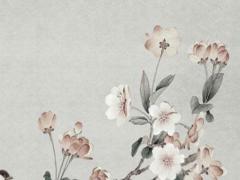 屬馬之人2024年運(yùn)勢(shì)怎么樣女生 屬馬2024年運(yùn)勢(shì)及運(yùn)程詳解女