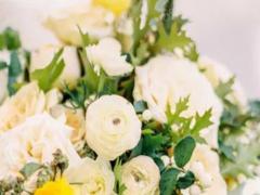 吃貨來啦!十二星座各自都最喜歡什么食物