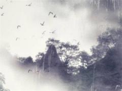 屬猴女性戴什么吊墜,屬猴女佩戴什么黃金吊墜好