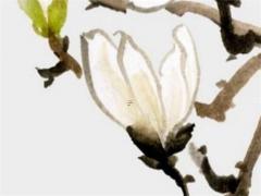 心機(jī)深的星座女 心機(jī)最深的星座排名