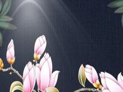 夫君重配是不是丈夫是二婚 夫君重配啥意思